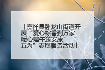 嘉祥县卧龙山街道开展“爱心粽香到万家 暖心端午送安康” “五为”志愿服务活动