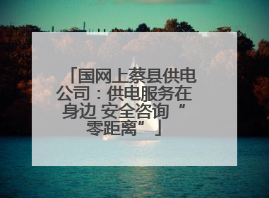 国网上蔡县供电公司：供电服务在身边 安全咨询“零距离”