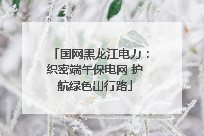 国网黑龙江电力：织密端午保电网 护航绿色出行路