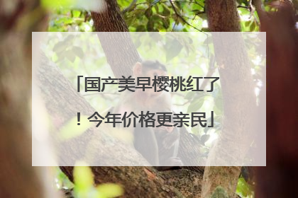 国产美早樱桃红了！今年价格更亲民