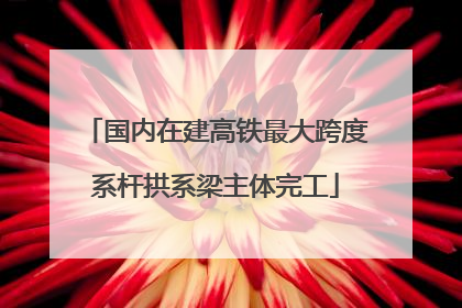 国内在建高铁最大跨度系杆拱系梁主体完工