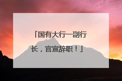 国有大行一副行长，官宣辞职！
