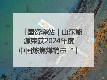 国资驿站｜山东能源荣获2024年度中国炼焦煤销量“十强”；全国首例铁路盖上智慧物流园钢结构主体完工
