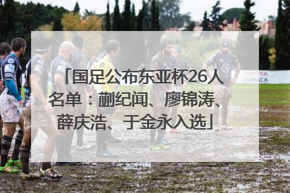 国足公布东亚杯26人名单：蒯纪闻、廖锦涛、薛庆浩、于金永入选