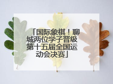 国际象棋！聊城两位学子晋级第十五届全国运动会决赛