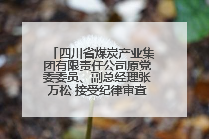 四川省煤炭产业集团有限责任公司原党委委员、副总经理张万松 接受纪律审查和监察调查
