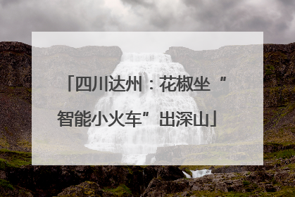 四川达州：花椒坐“智能小火车”出深山