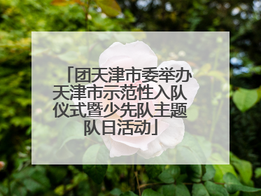 团天津市委举办天津市示范性入队仪式暨少先队主题队日活动