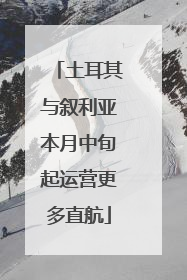 土耳其与叙利亚本月中旬起运营更多直航