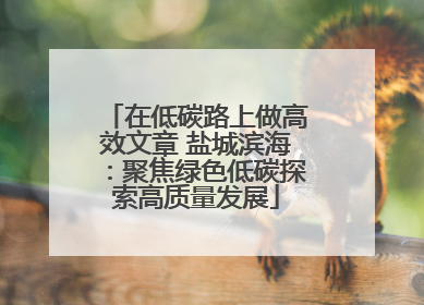 在低碳路上做高效文章 盐城滨海：聚焦绿色低碳探索高质量发展