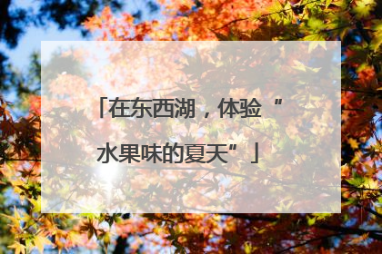 在东西湖，体验“水果味的夏天”
