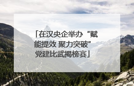 在汉央企举办“赋能提效 聚力突破”党建比武揭榜赛