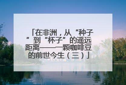 在非洲，从“种子”到“杯子”的遥远距离——一颗咖啡豆的前世今生（三）