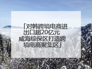 对韩跨境电商进出口超20亿元 威海综保区打造跨境电商聚集区