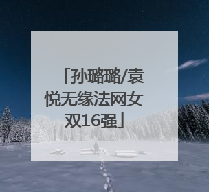 孙璐璐/袁悦无缘法网女双16强