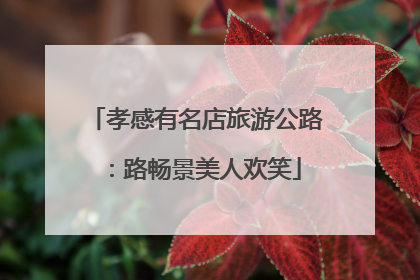 孝感有名店旅游公路：路畅景美人欢笑