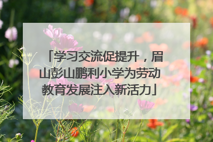 学习交流促提升，眉山彭山鹏利小学为劳动教育发展注入新活力