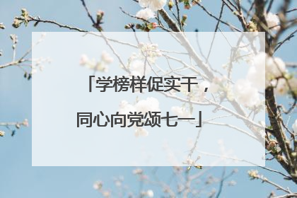 学榜样促实干，同心向党颂七一