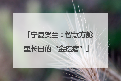 宁夏贺兰：智慧方舱里长出的“金疙瘩”