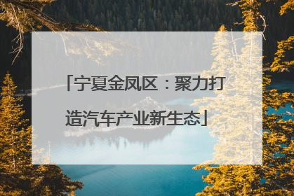 宁夏金凤区：聚力打造汽车产业新生态