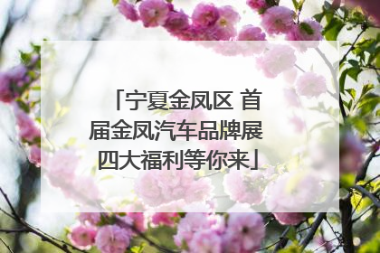 宁夏金凤区 首届金凤汽车品牌展四大福利等你来