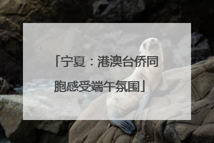 宁夏：港澳台侨同胞感受端午氛围
