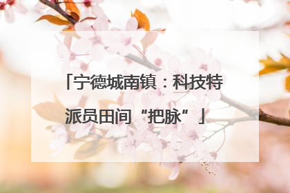 宁德城南镇：科技特派员田间“把脉”