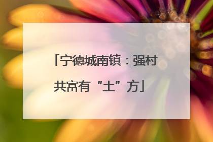 宁德城南镇：强村共富有“土”方