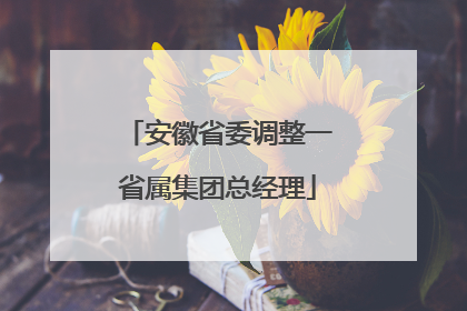 安徽省委调整一省属集团总经理