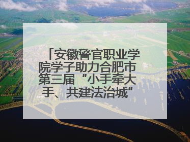 安徽警官职业学院学子助力合肥市第三届“小手牵大手、共建法治城”公益普法活动