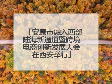 安康市融入西部陆海新通道暨跨境电商创新发展大会在西安举行