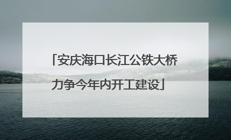 安庆海口长江公铁大桥力争今年内开工建设