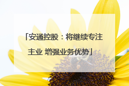 安通控股：将继续专注主业 增强业务优势