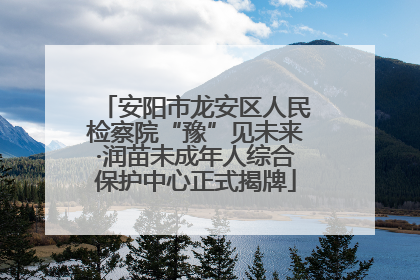安阳市龙安区人民检察院“豫”见未来·润苗未成年人综合保护中心正式揭牌