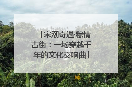 宋潮奇遇·粽情古街：一场穿越千年的文化交响曲