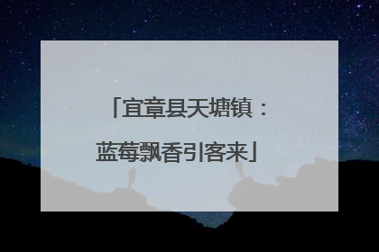 宜章县天塘镇：蓝莓飘香引客来