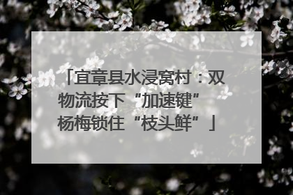 宜章县水浸窝村：双物流按下“加速键” 杨梅锁住“枝头鲜”