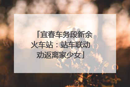 宜春车务段新余火车站：站车联动劝返离家少女
