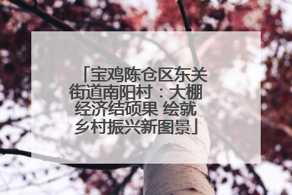 宝鸡陈仓区东关街道南阳村：大棚经济结硕果 绘就乡村振兴新图景