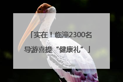 实在！临潼2300名导游喜提“健康礼”