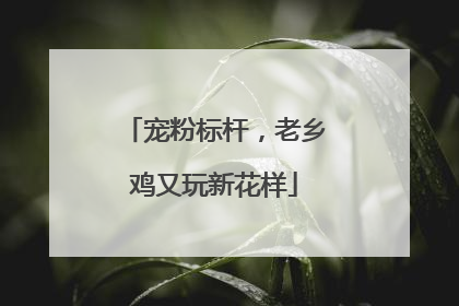 宠粉标杆，老乡鸡又玩新花样