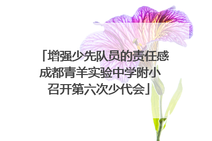 增强少先队员的责任感 成都青羊实验中学附小召开第六次少代会