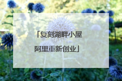 复刻湖畔小屋 阿里重新创业