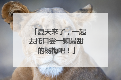 夏天来了，一起去托口尝一颗最甜的杨梅吧！
