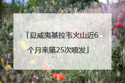 夏威夷基拉韦火山近6个月来第25次喷发