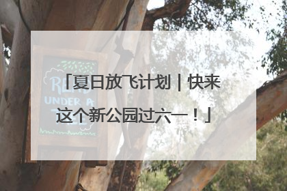 夏日放飞计划｜快来这个新公园过六一！