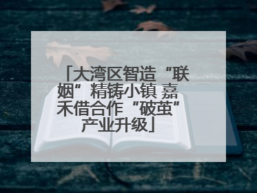 大湾区智造“联姻”精铸小镇 嘉禾借合作“破茧”产业升级