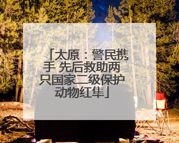 太原：警民携手 先后救助两只国家二级保护动物红隼