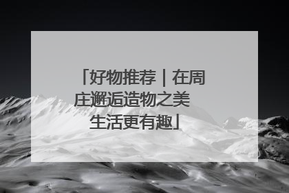 好物推荐｜在周庄邂逅造物之美 生活更有趣