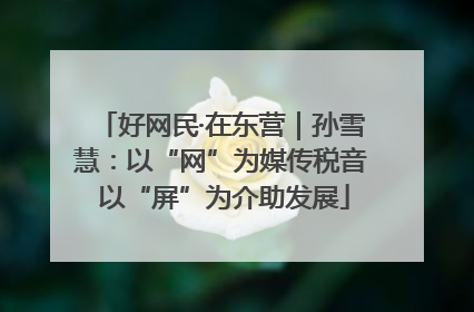 好网民·在东营｜孙雪慧：以“网”为媒传税音 以“屏”为介助发展